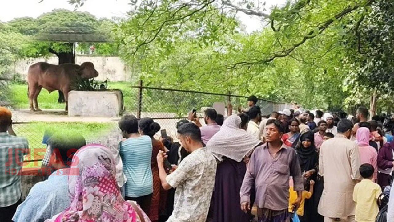 চিড়িয়াখানায় ‘ডোনাল্ড ট্রাম্পকে’ দেখতে দর্শনার্থীদের ভিড়