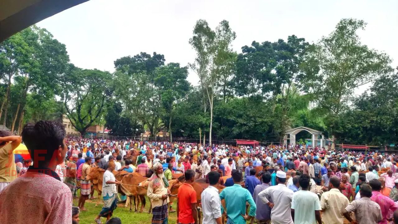 ঈদ সামনে রংপুরের পীরগঞ্জের ঐতিহ্যবাহী  চতরা পশুর হাটে ক্রেতা বিক্রেতাদের উপচে পড়া ভিড়