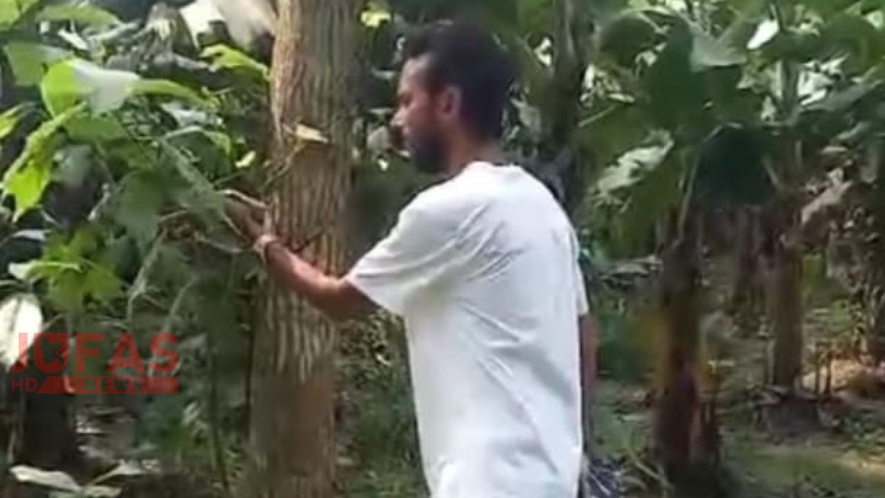 সংবাদ সংগ্রহের ব্যস্ততা ফেলে অবলা শালিক পাখিকে বাঁচিয়ে আকাশে ওড়ালেন সাংবাদিক খলিলুর রহমান