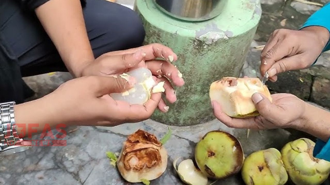 তালের শাঁসের উপকারিতা জানলে অবাক হবেন!