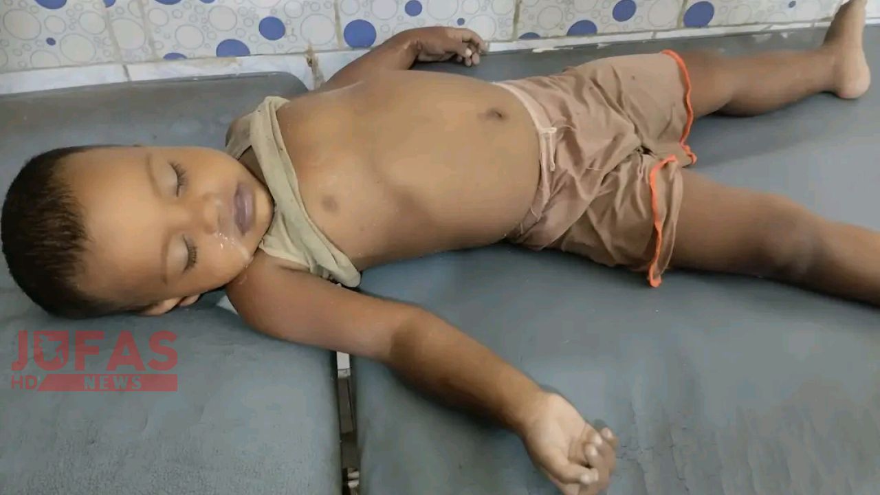 বালিয়াডাঙ্গীতে পুকুরে ডুবে ৩ বছরের শিশুর মর্মান্তিক মৃত্যু