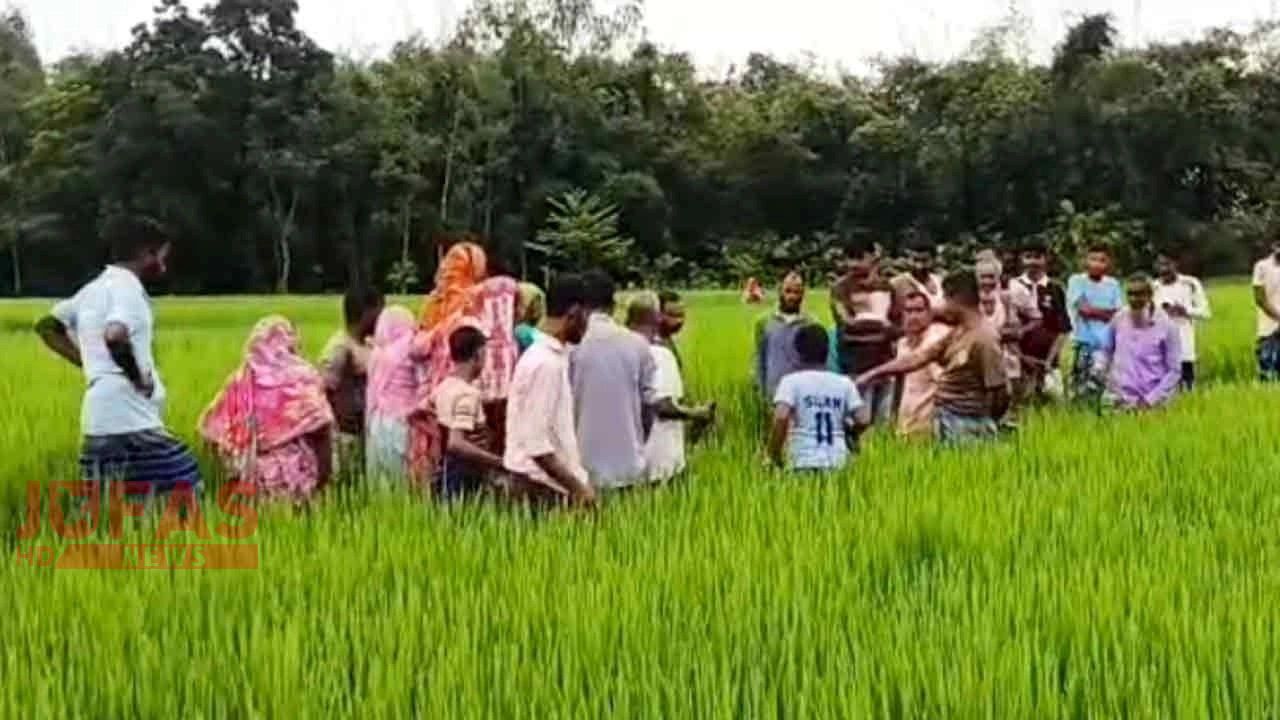 দেবীগঞ্জে কৃষিজমিতে পড়ে ছিল নারীর মরদেহ