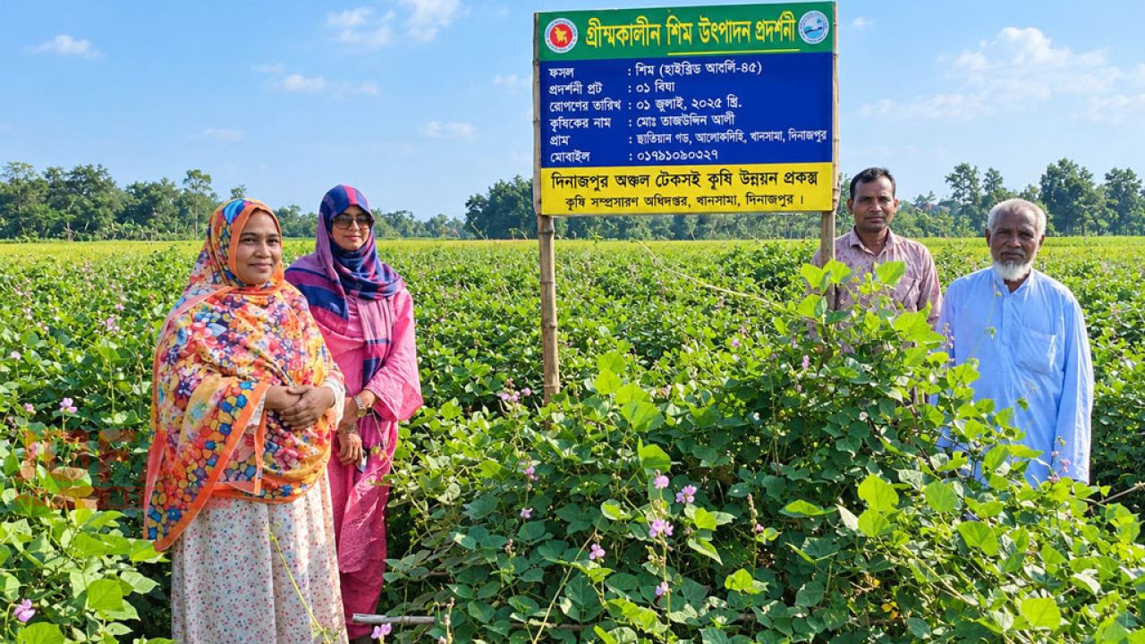 খানসামায় গ্রীষ্মকালীন শিম চাষে সাফল্য