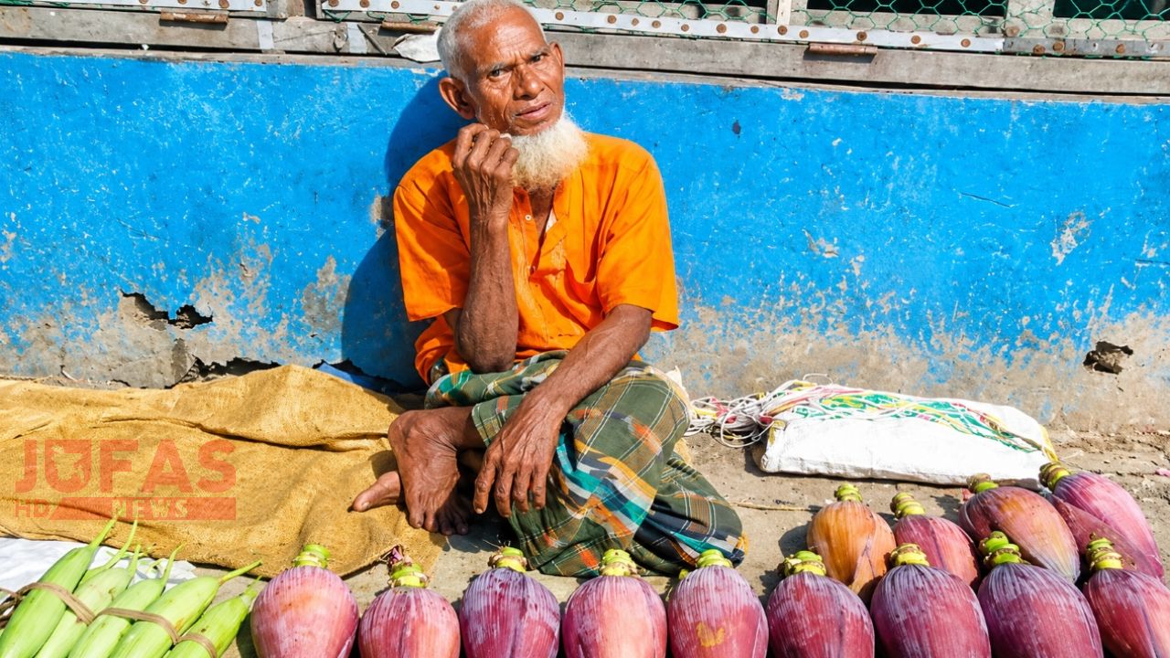 কুড়িগ্রামের উলিপুরে কলার মোচা বিক্রি করে জীবিকার লড়াই