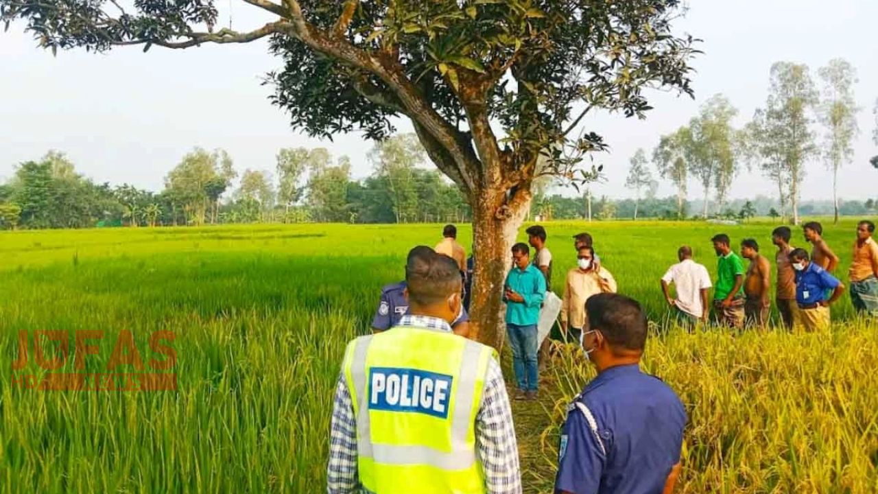 ঠাকুরগাঁওয়ে ধানক্ষেত থেকে অর্ধগলিত মরদেহ উদ্ধার