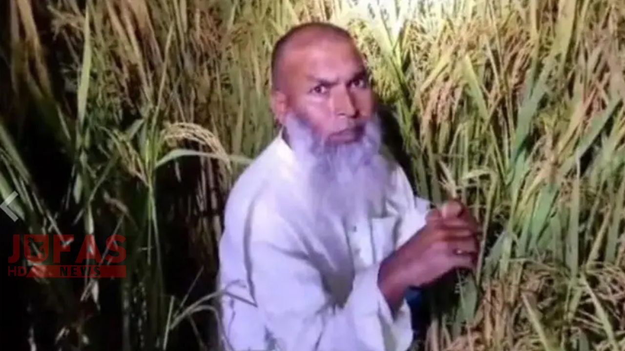 ধানক্ষেতে আত্মগোপন, গোবিন্দগঞ্জে আওয়ামী লীগ নেতা গ্রেফতার