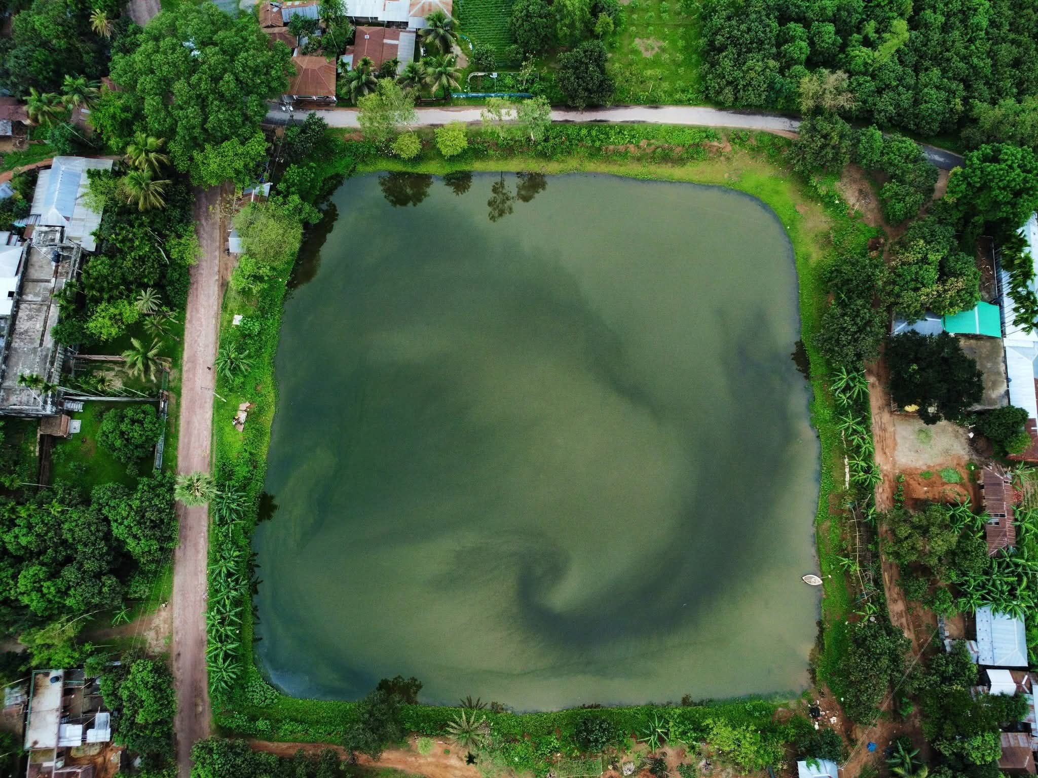 গোপালপুর জমিদার দীঘি