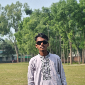 মোহাম্মাদ আরাফাত 